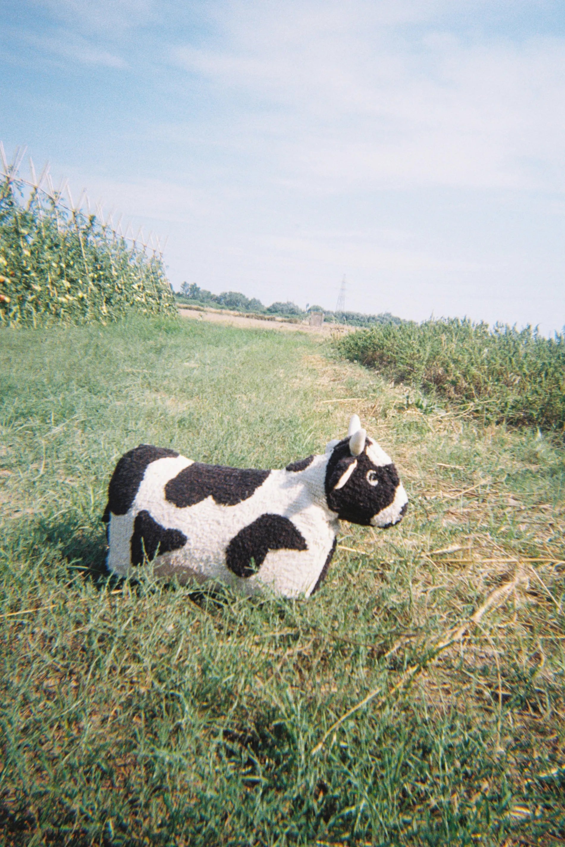 lorena-canals-pouf-lola-the-cow image 2
