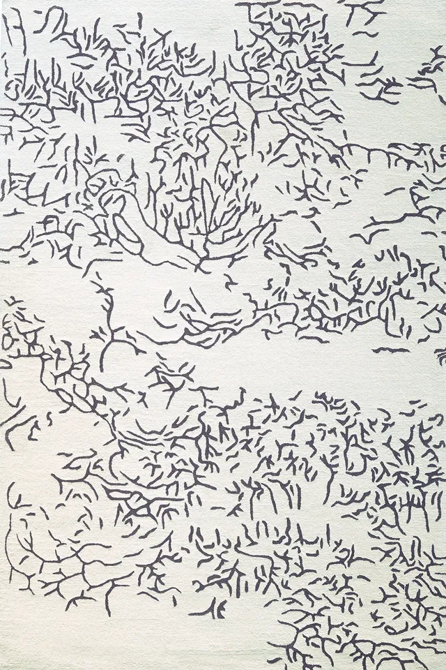 toulemonde-bochart-nature-tapis-laine-noir-et-blanc-tuft-main image 1