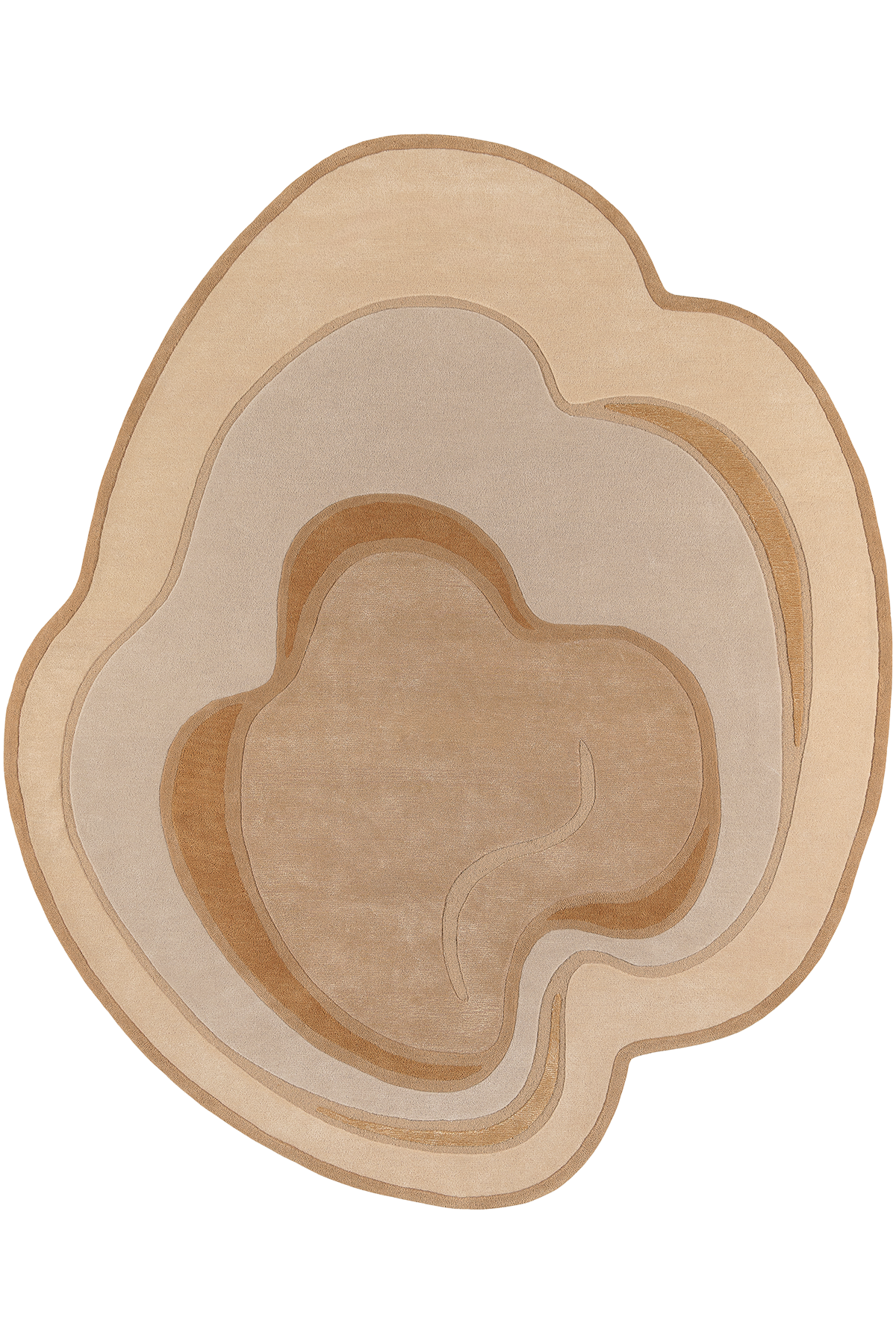 toulemonde-bochart-sahara-tapis-sable-200x240-laine-viscose image 1
