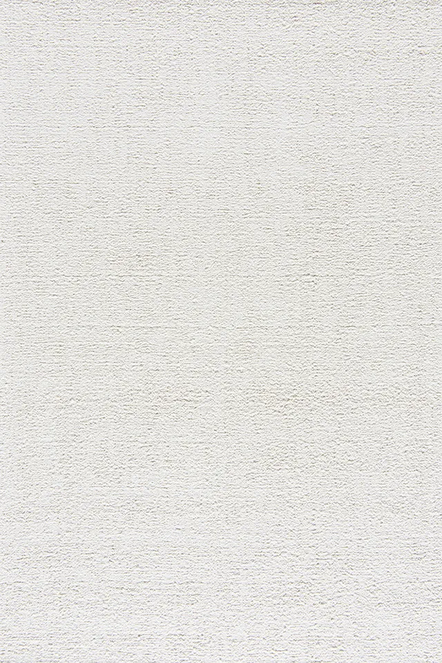 toulemonde-bochart-astrakan-neige-tapis-beige-boucl-laine-tiss-main image 1