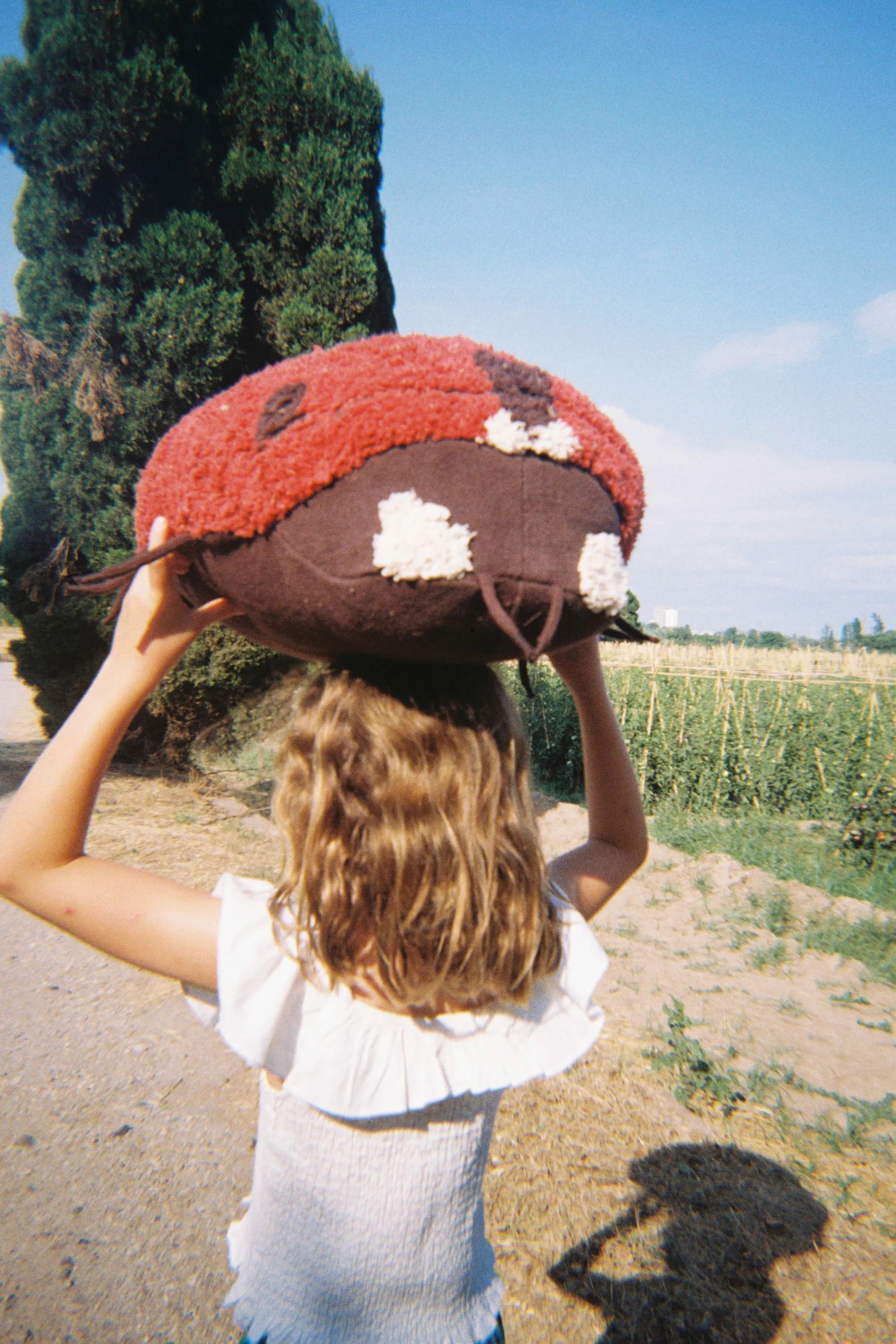 lorena-canals-maria-the-ladybug-coussin-de-sol-coccinelle image 3