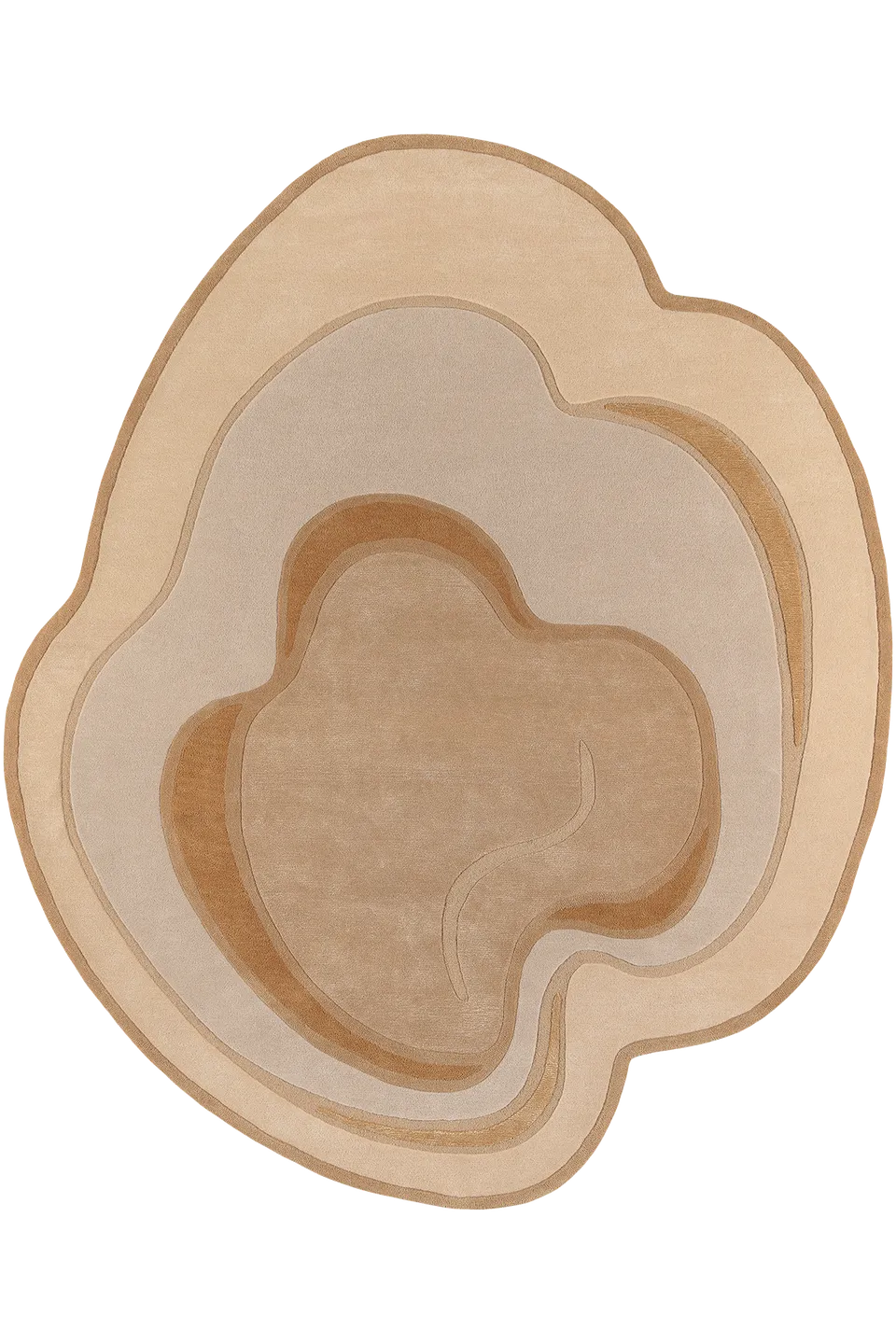 toulemonde-bochart-sahara-tapis-sable-200x240-laine-viscose image 1