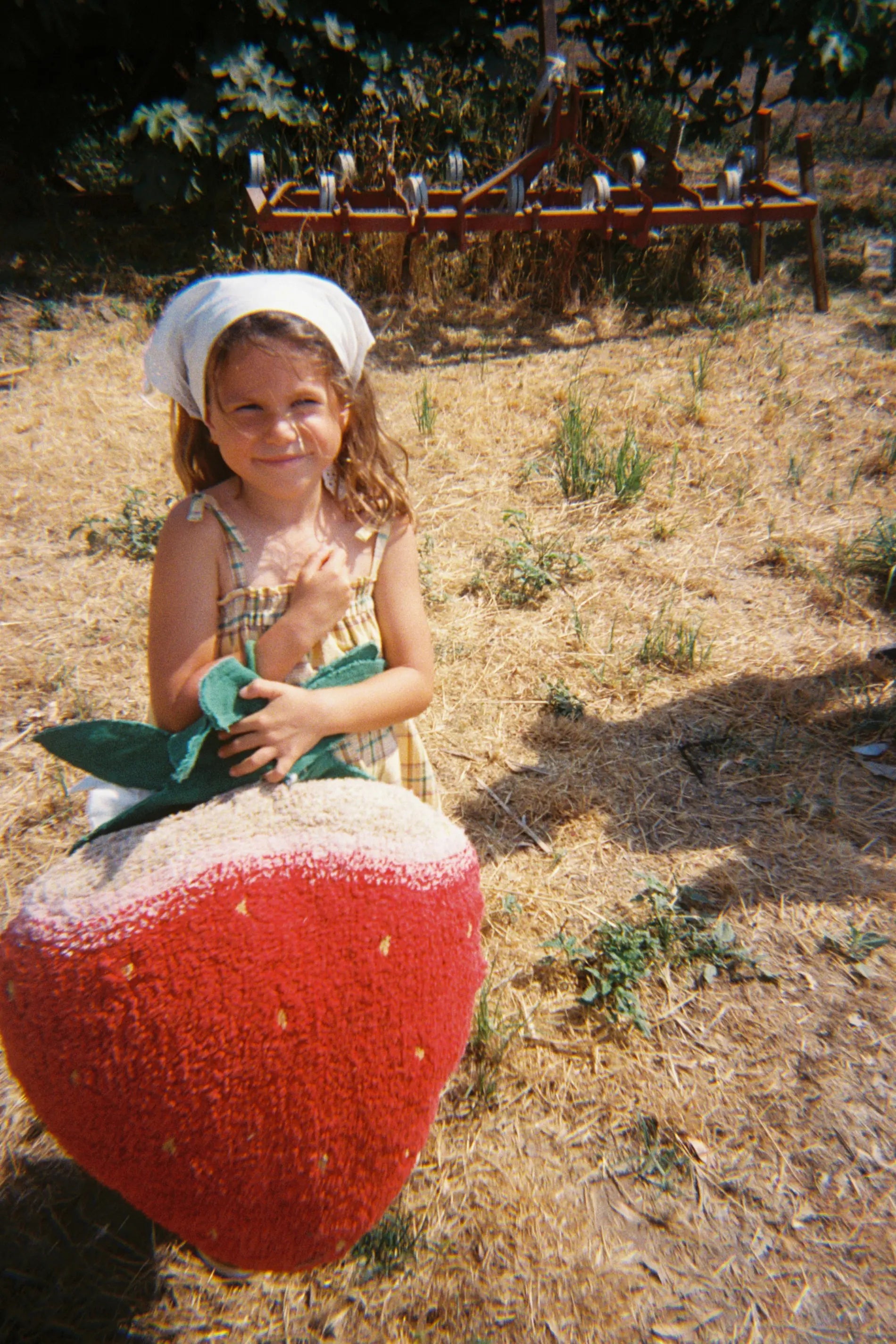 lorena-canals-strawberry-coussin-de-sol-fraise image 4