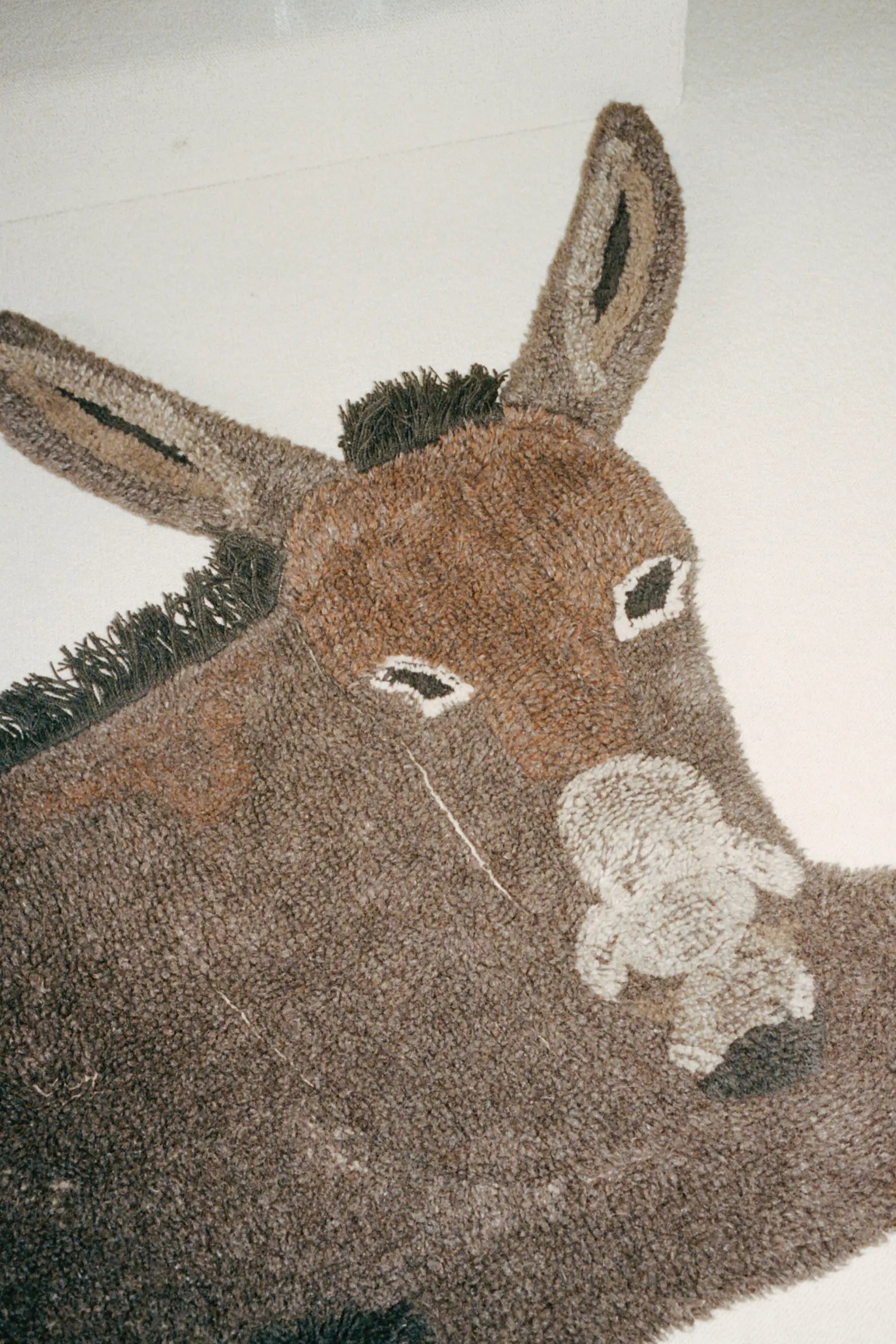 lorena-canals-hector-the-donkey-tapis-en-laine image 8
