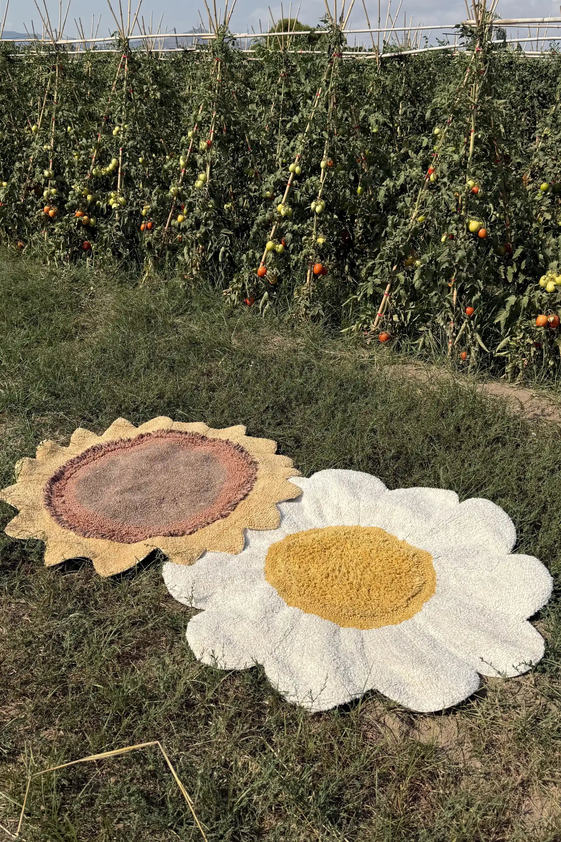 lorena-canals-tapis-lavable-white-daisy-fleur-marguerite image 3