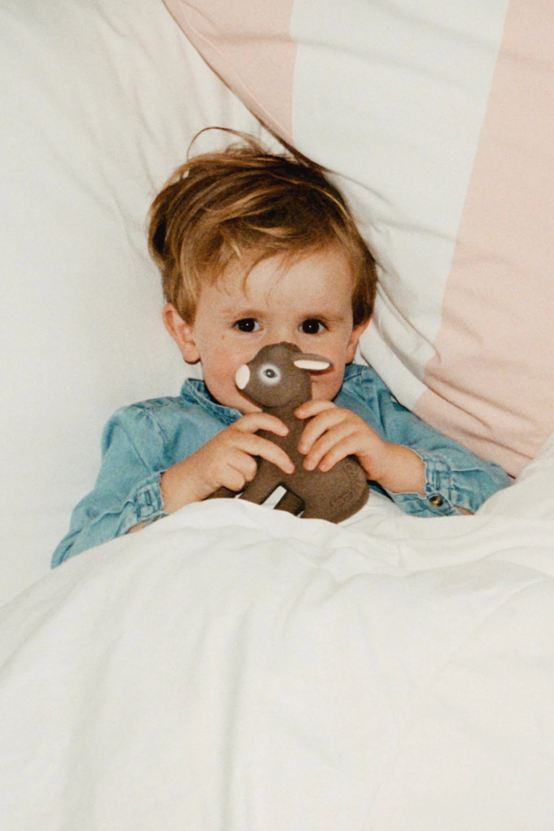 lorena-canals-hector-the-donkey-anneau-de-dentition-b-b image 8