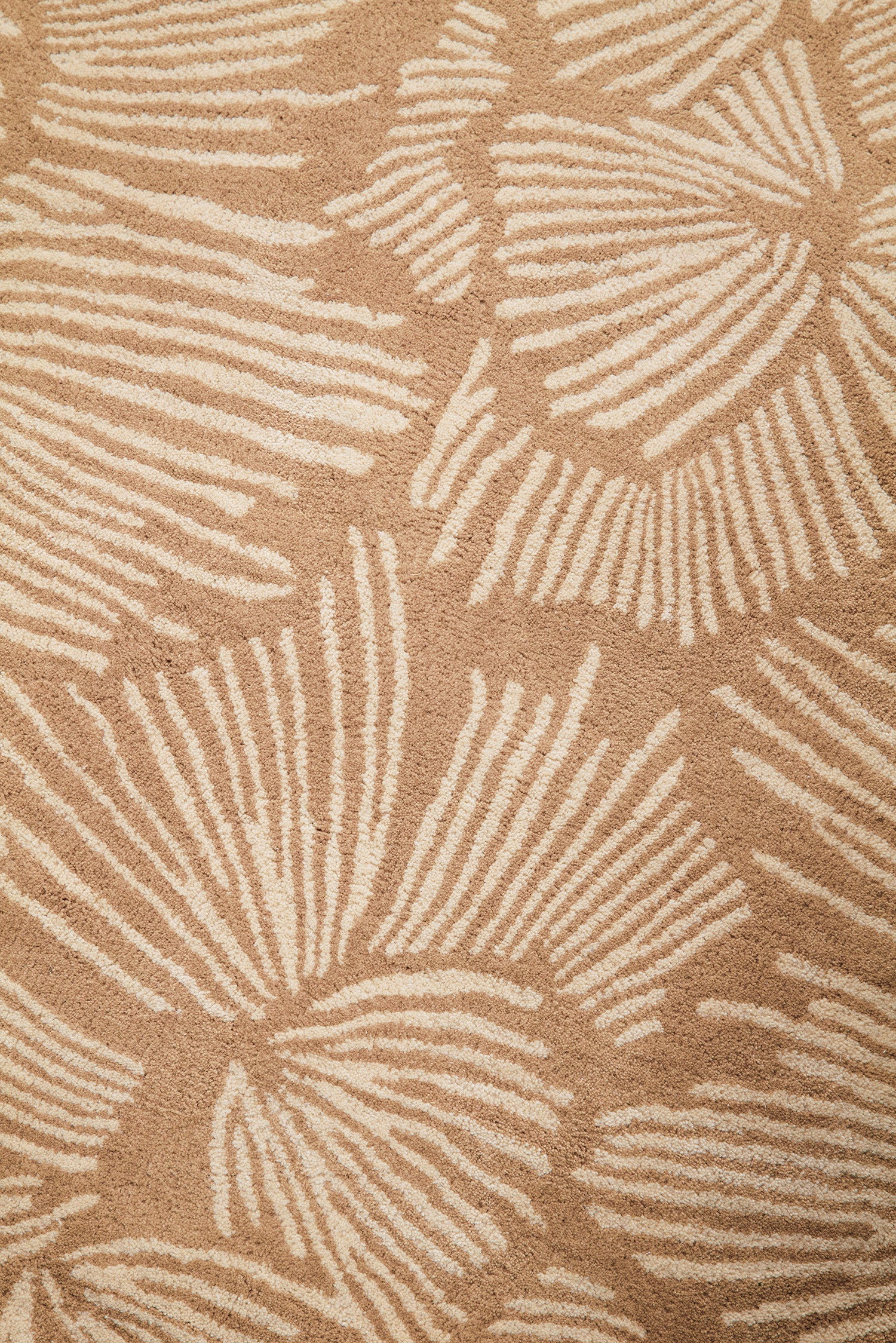 toulemonde-bochart-gala-tapis-beige-floral-laine-tuft-main image 5