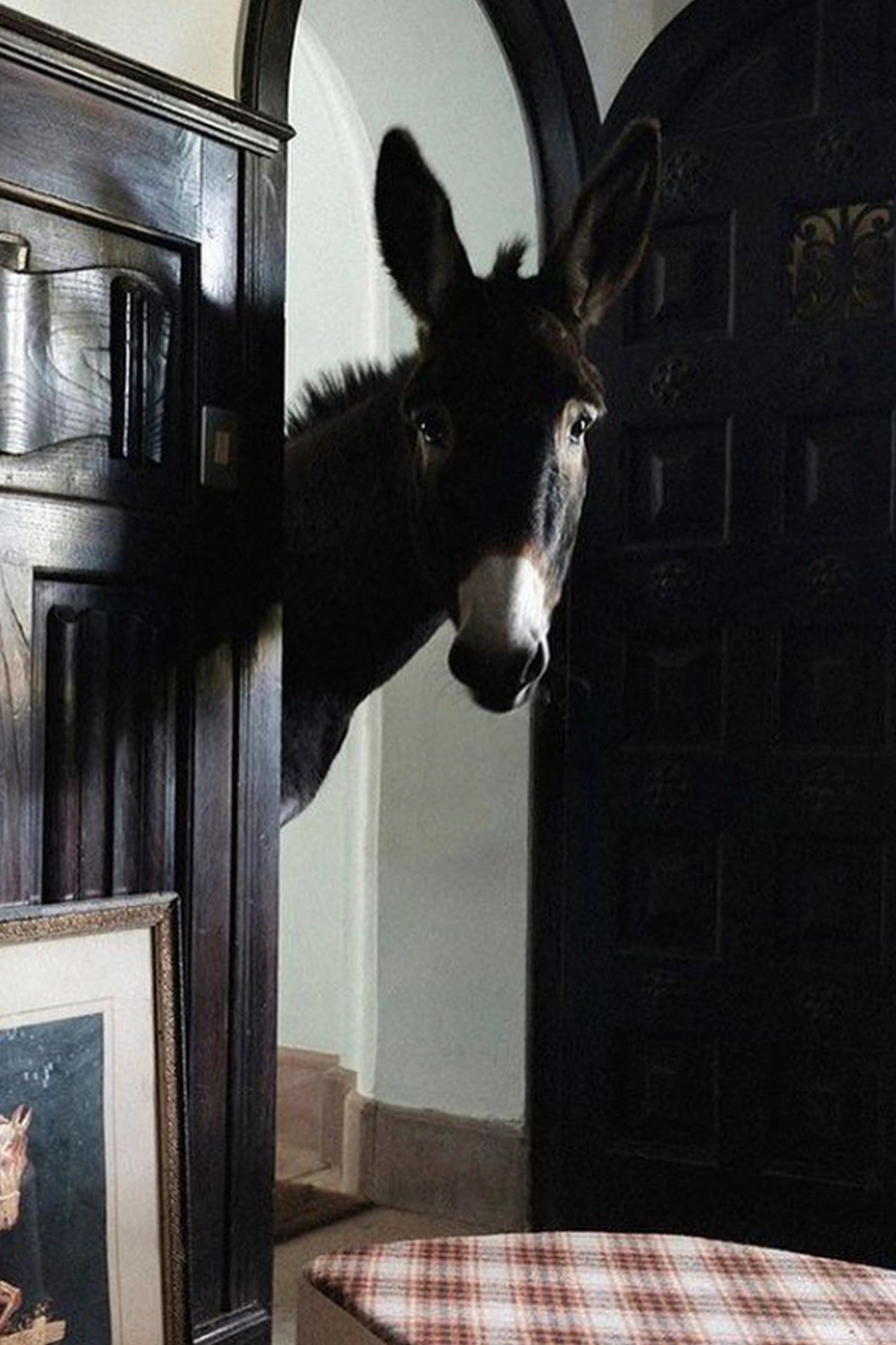 lorena-canals-hector-the-donkey-panier-en-laine image 3